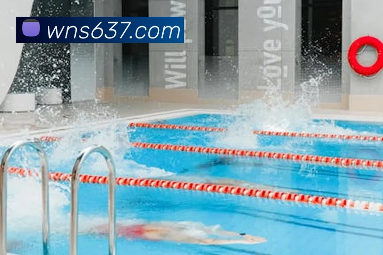 多媒体互动体验